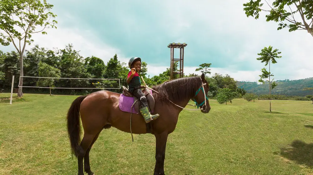 A Day Tour At Safari Valley Resort In Ghana