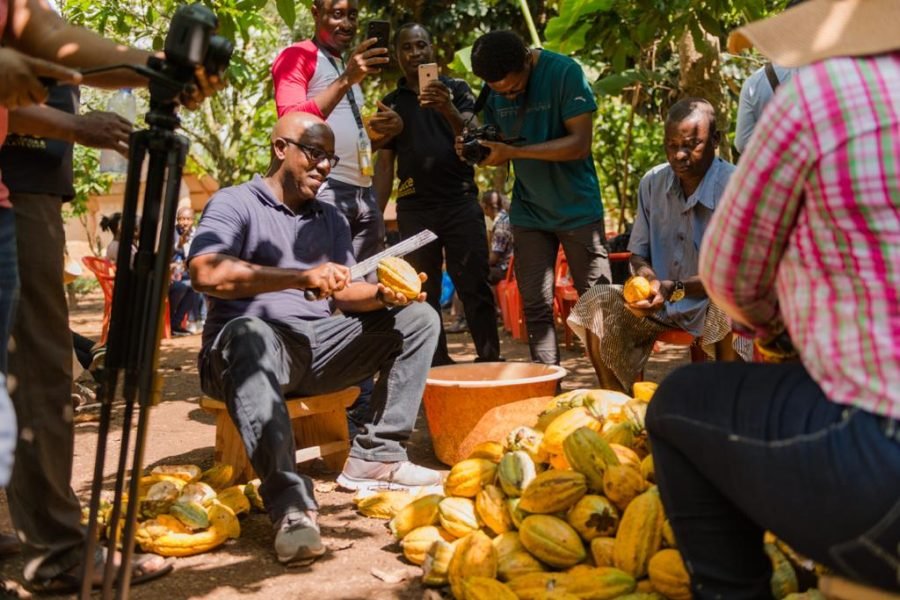 eco cocoa tour Ghana5