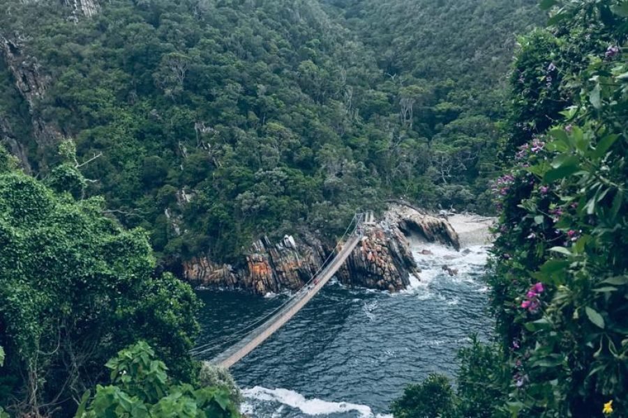 TsiTsikamma National Park, South Africa