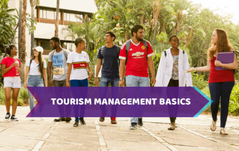 Tourism Management Basics