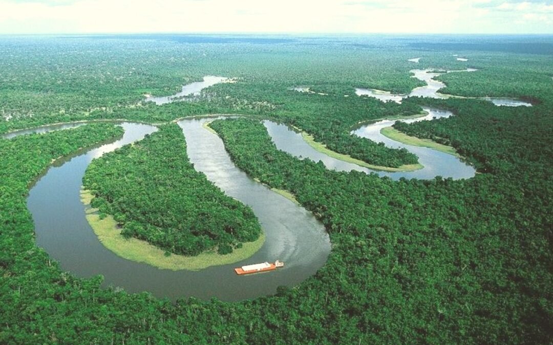 THE OKAVANGO DELTA