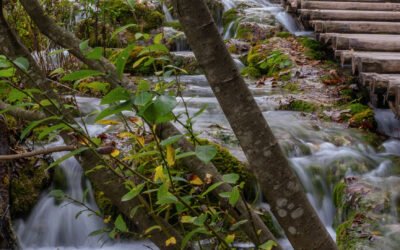 TOURISM IN THE 2030 AGENDA