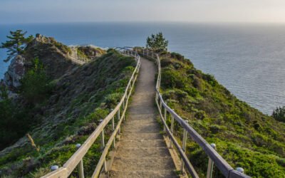 2023 NEW REPORT TO SUPPORT CLIMATE ACTION IN THE TOURISM SECTOR