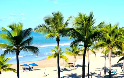 11 Top Beaches in Ghana For Vacations and Relaxation