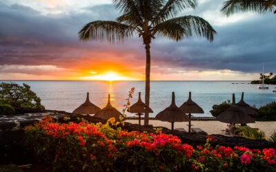 THE 66TH MEETING OF THE UNWTO COMMISSION FOR AFRICA, 2-28 July 2023, Mauritius