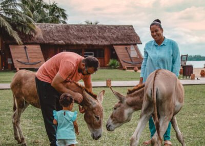 Wildlife at Aqua safari Ghana