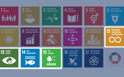 UNWTO AGENDA FOR AFRICA