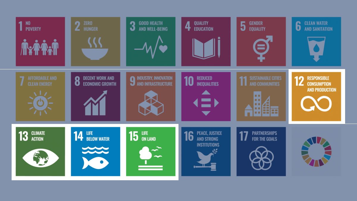 unwto agenda for africa