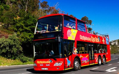 Exploring Cape Town Hop On, Hop Off Bus Tours