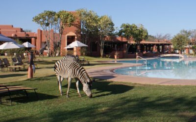 UN Tourism Shines a Light on Investment Prospects in Zambia