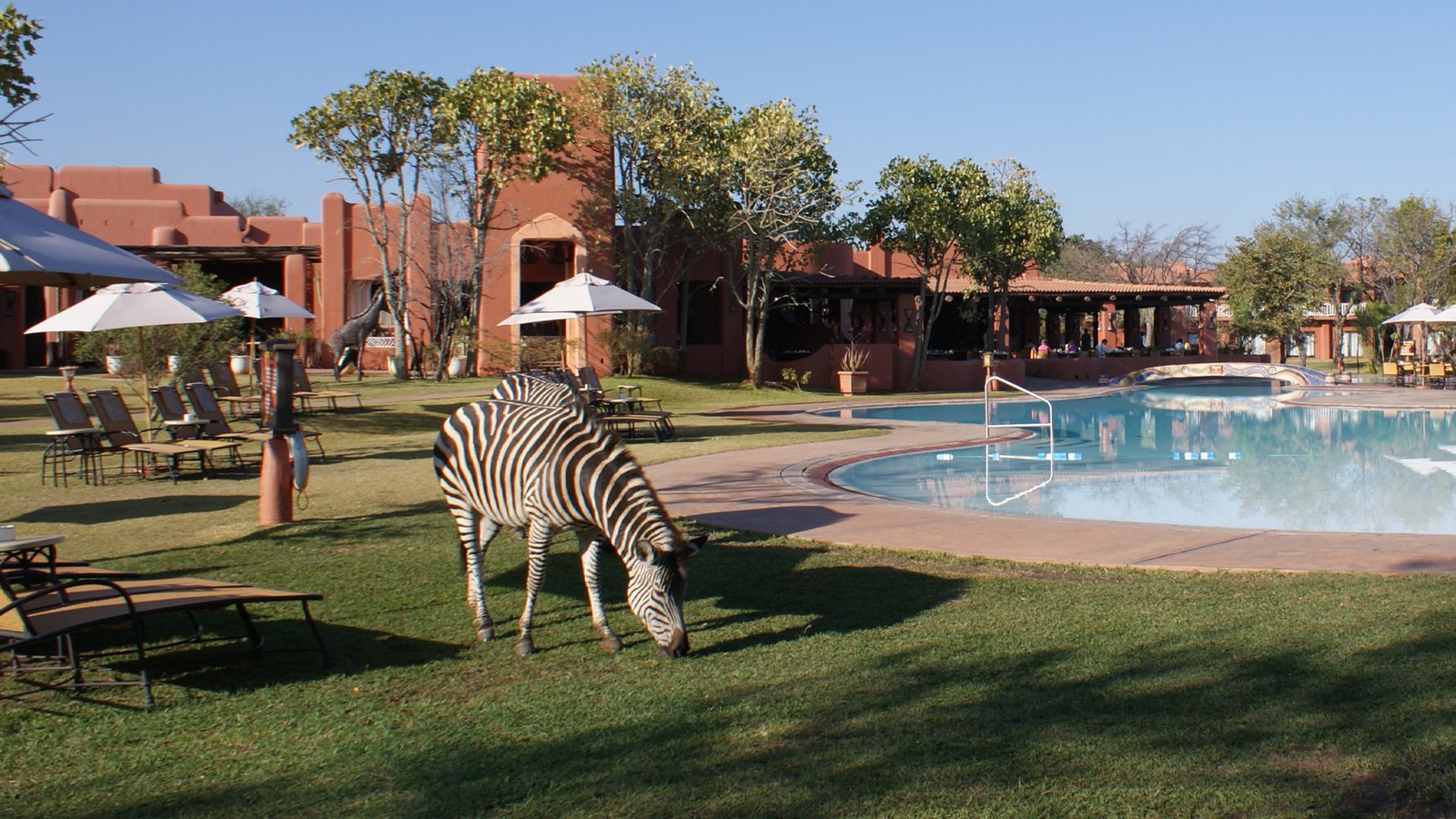 02 new academies communications strategy and more investments un tourism sets course for african members 0 UN Tourism Shines a Light on Investment Prospects in Zambia