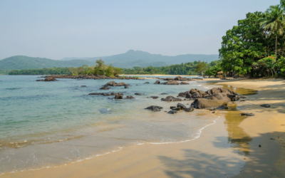 Sierra Leone and UN Tourism join forces to host Women in Tourism Regional Congress