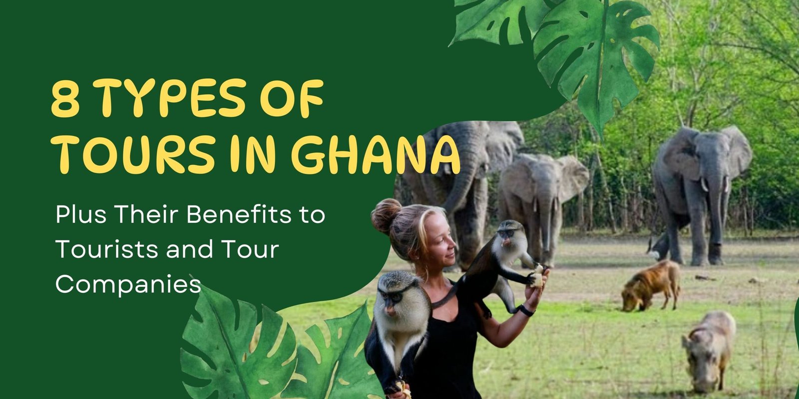green illustrative rainforest day banner 8 Types of Tours in Ghana Plus Their Benefits to Tourists and Tour Companies
