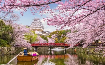 From Accra to Akihabara: Your Essential Guide to Traveling and Working in Japan